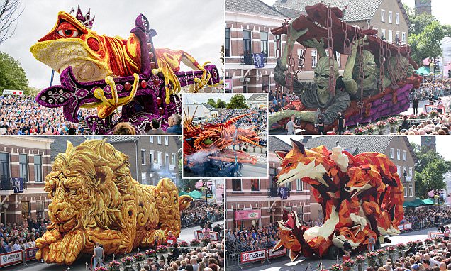 Setengah Juta Bunga Dahlia untuk Parade Bunga di Belanda